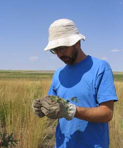Man in field